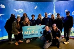 VLM-Fun-Group-updated